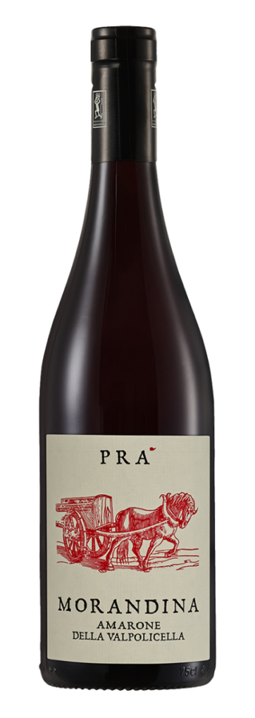 2602202465dc7ce53a5ab.png Azienda Vinicola Pr, Amarone della Valpolicella DOCG Morandina