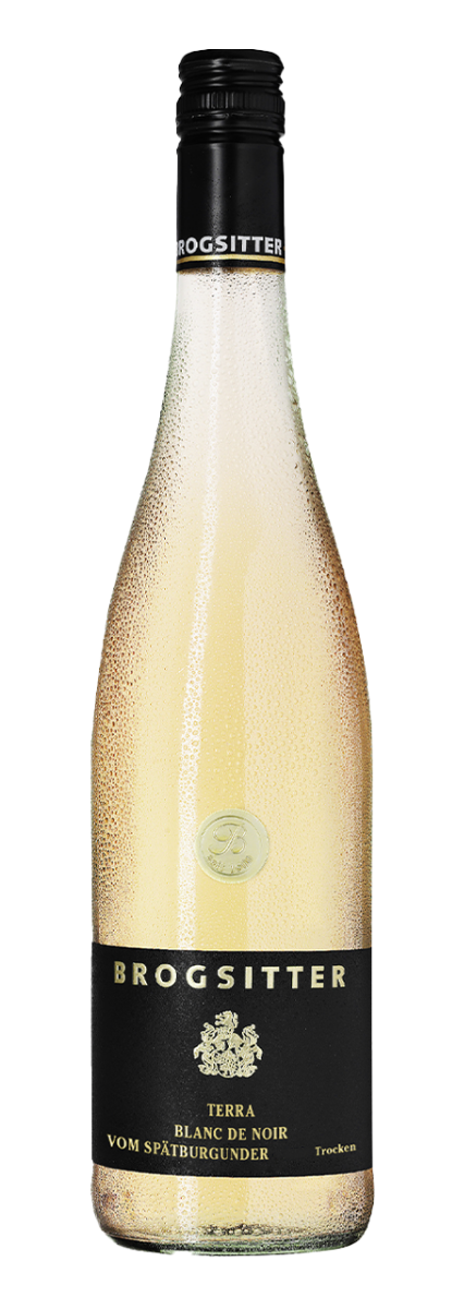 Brogsitter Weingüter, Rheinhessen Terra Blanc, Spätburgunder Blanc de Noir